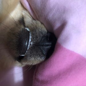 Meet your Posher, Myrna